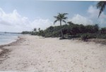 Our lot north of Xcalak.jpg